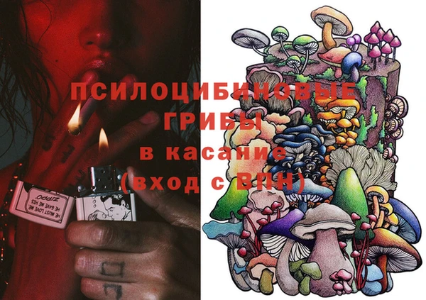 не бодяженный Магас